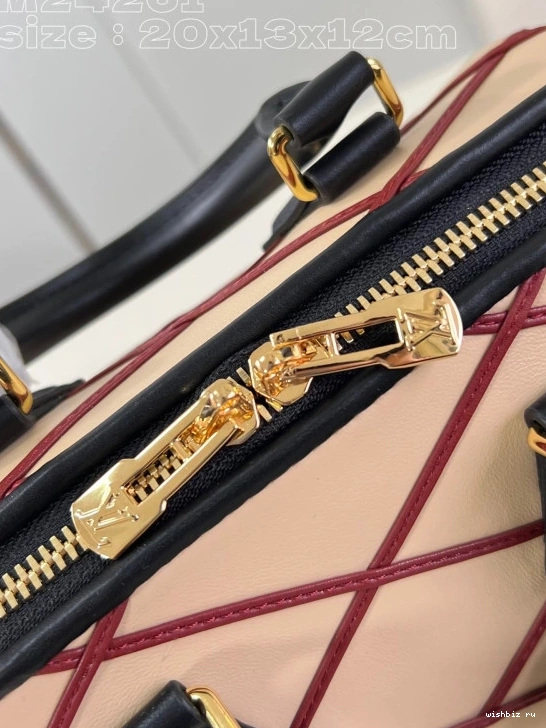 WIS VUITTON BANDOULIÈRE SPEEDY 20 LOUIS 0307